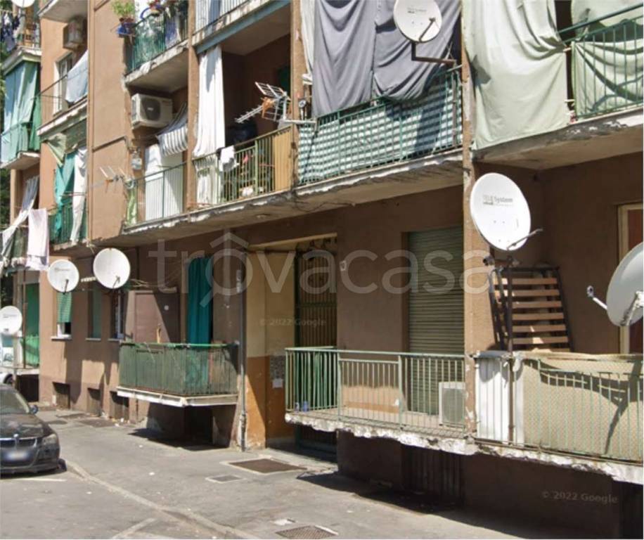 immagine annuncio 6 di 14