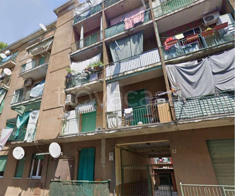 immagine annuncio 12 di 14