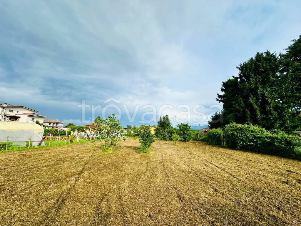 immagine annuncio 3 di 8