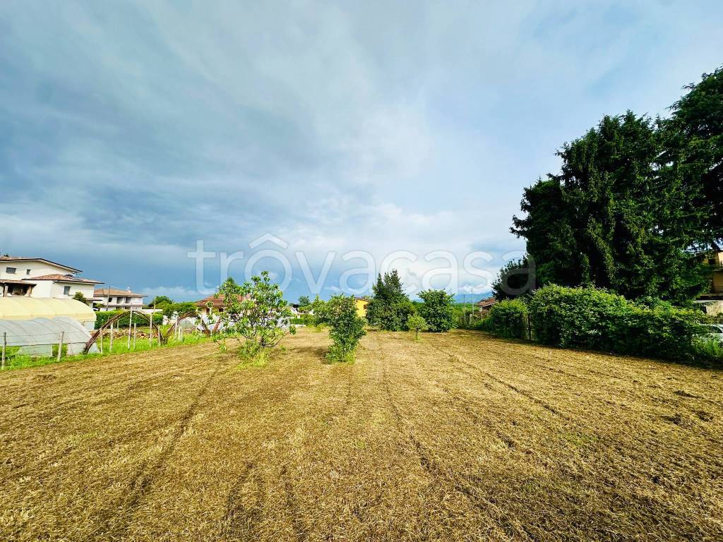 immagine annuncio 2 di 8