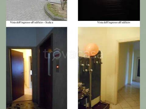immagine annuncio 3 di 6