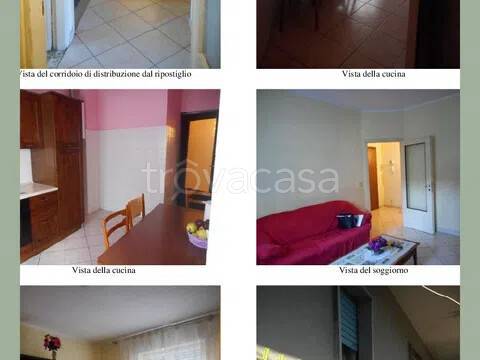 immagine annuncio 4 di 6