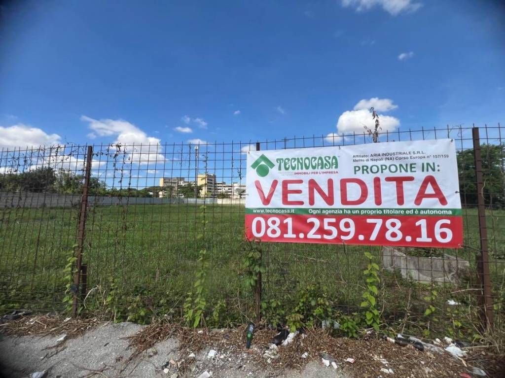 immagine annuncio 6 di 14