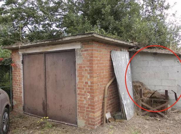 immagine annuncio 7 di 15