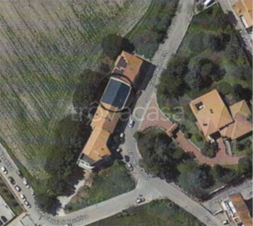immagine annuncio 4 di 14