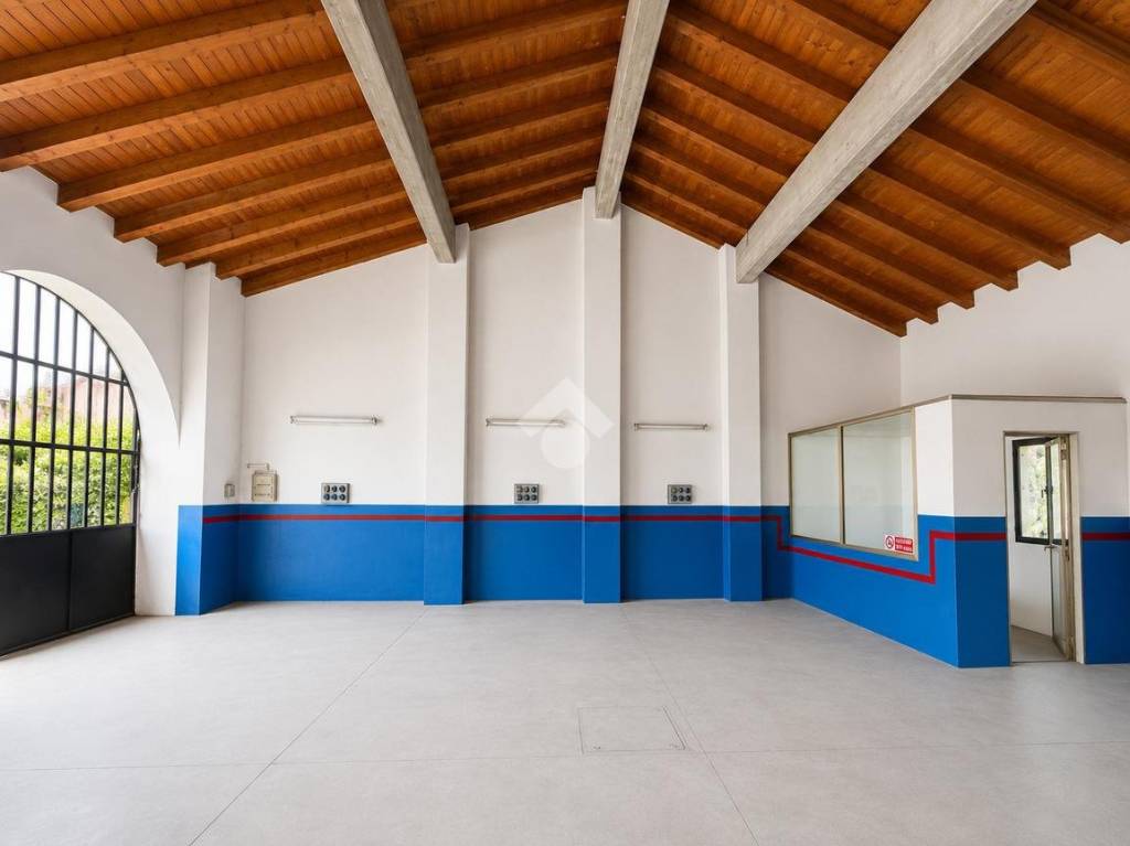 immagine annuncio 2 di 6