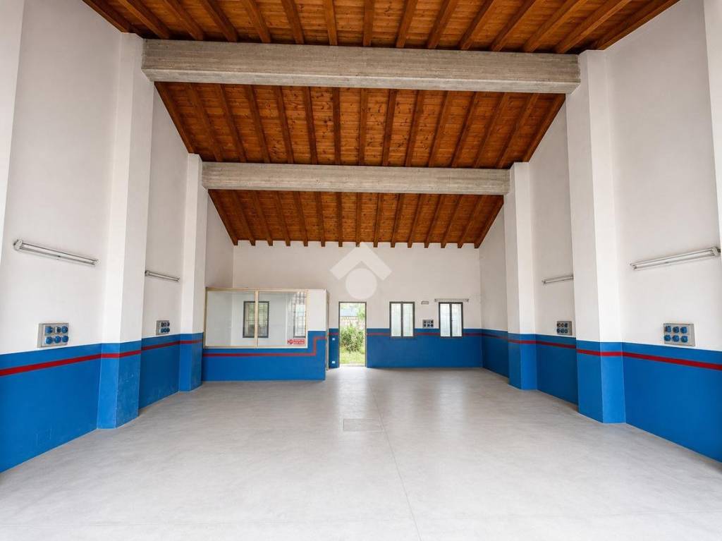 immagine annuncio 3 di 6