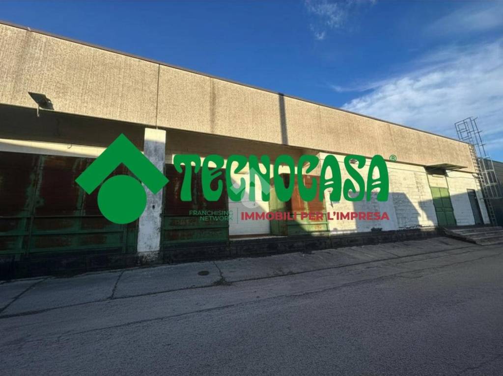 immagine annuncio 2 di 13