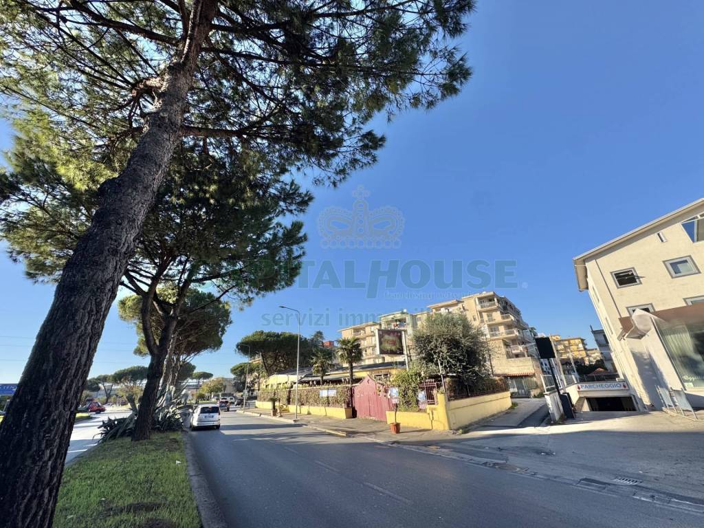 immagine annuncio 9 di 14