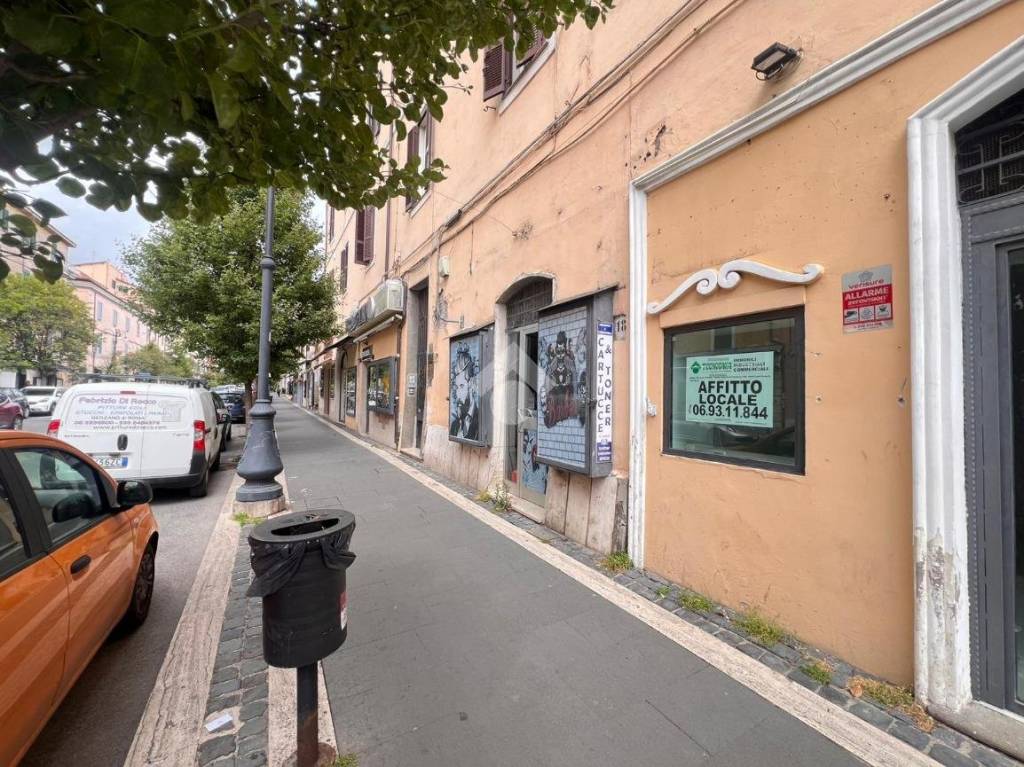 immagine annuncio 3 di 14
