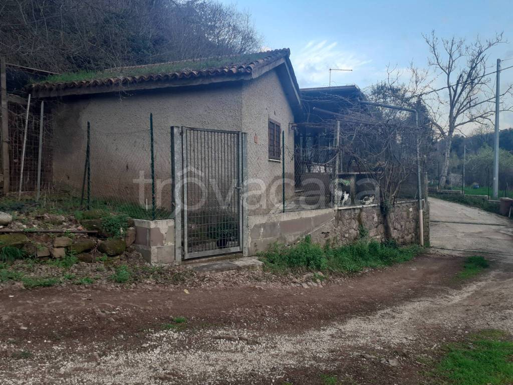 immagine annuncio 2 di 7