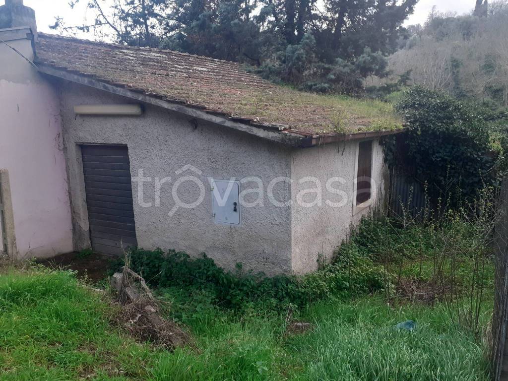 immagine annuncio 3 di 7