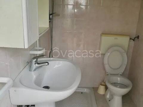 immagine annuncio 9 di 14