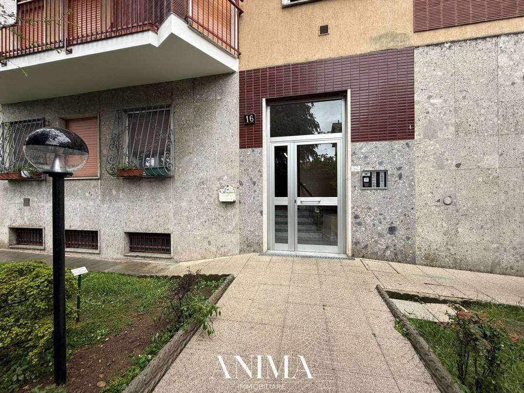 immagine annuncio 13 di 14