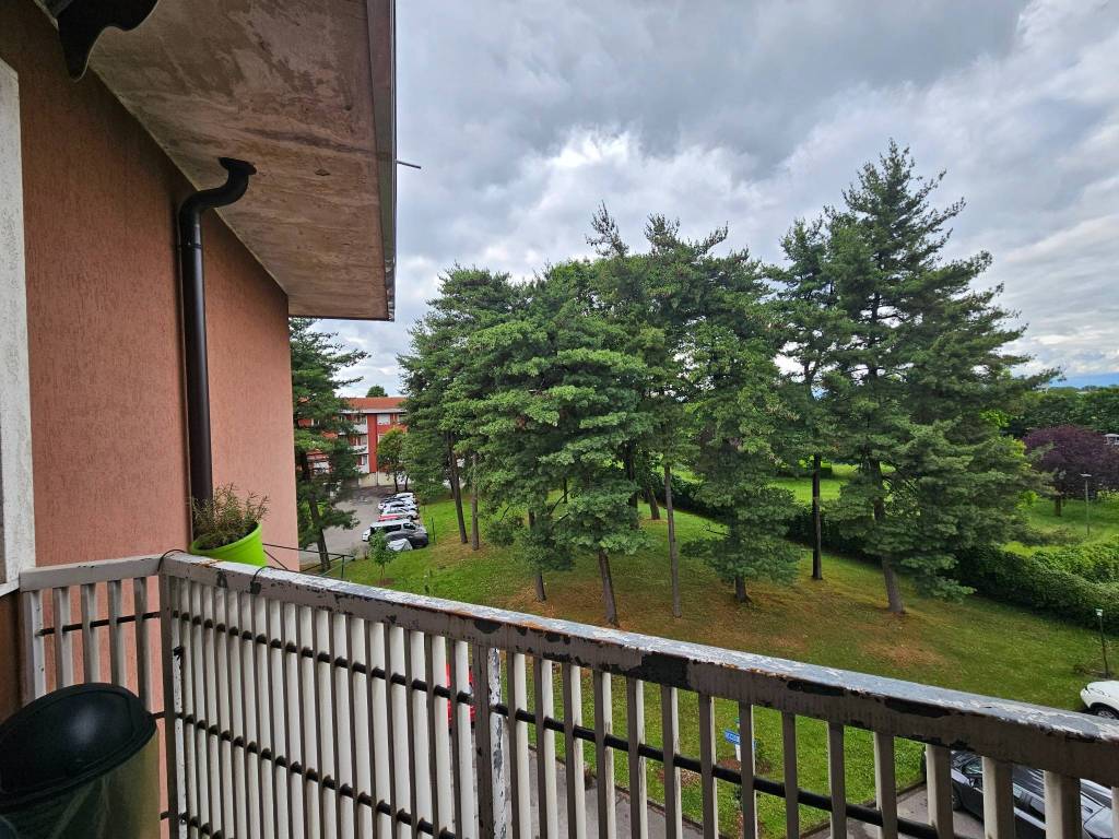 immagine annuncio 9 di 15