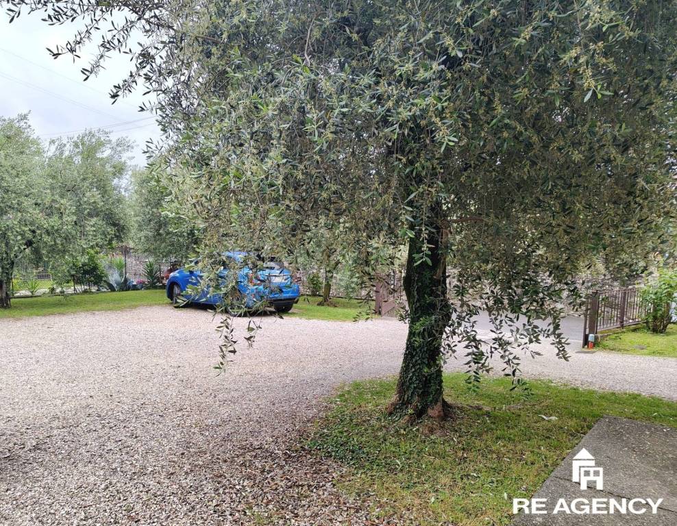 immagine annuncio 8 di 13