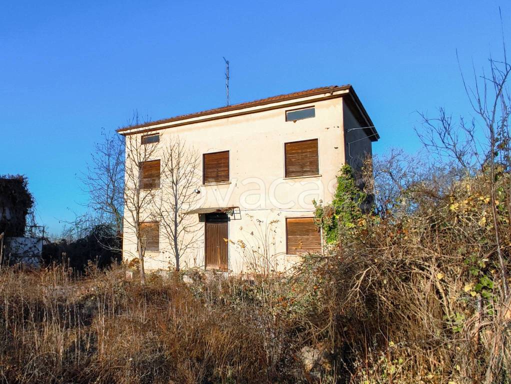 immagine annuncio 5 di 7