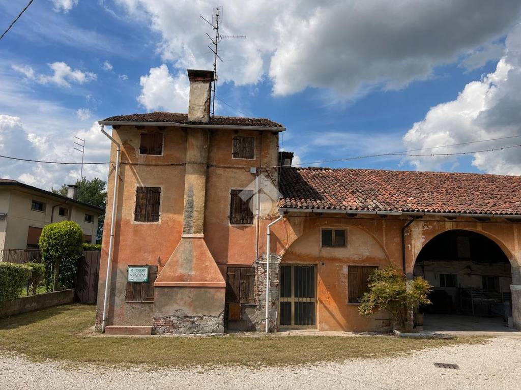 immagine annuncio 1 di 14