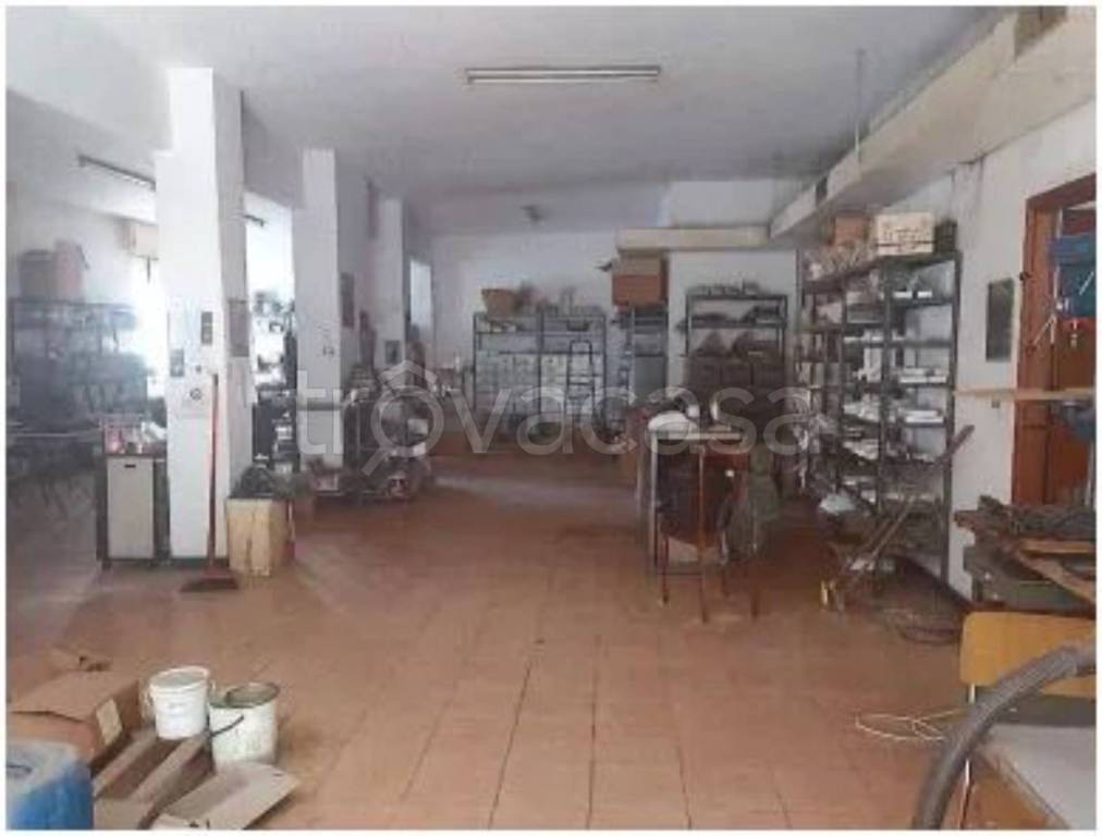 immagine annuncio 4 di 13