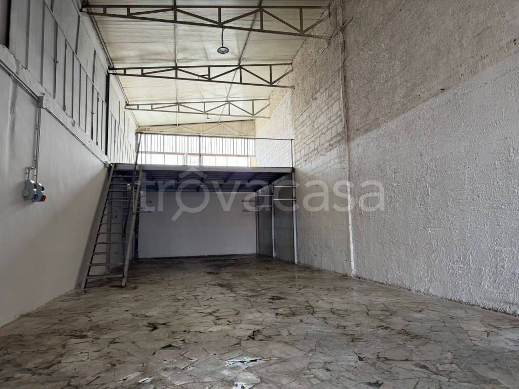 immagine annuncio 1 di 14