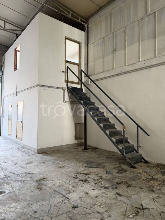 immagine annuncio 4 di 14