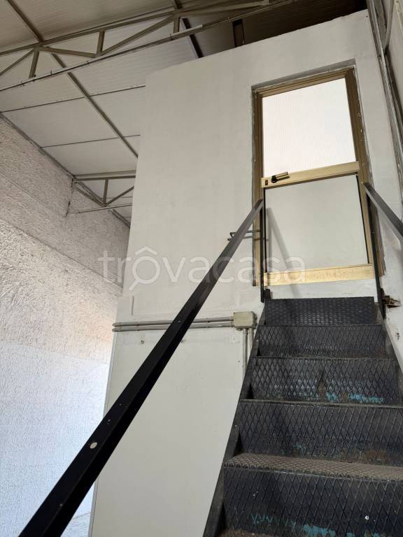 immagine annuncio 5 di 14