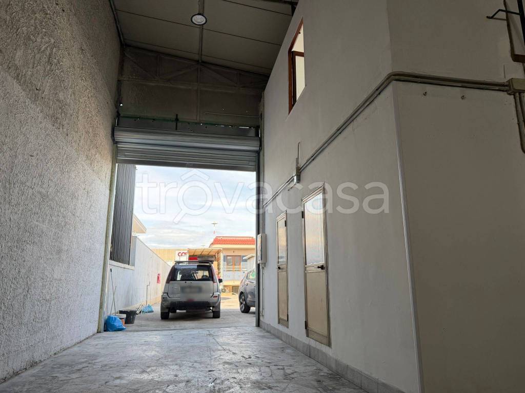 immagine annuncio 12 di 14