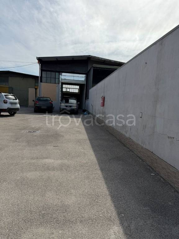 immagine annuncio 13 di 14