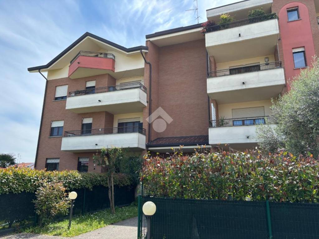 immagine annuncio 3 di 15