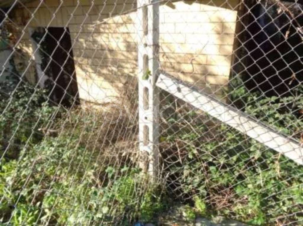 immagine annuncio 9 di 14