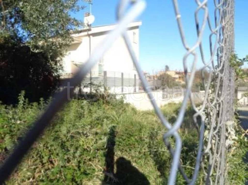 immagine annuncio 11 di 14