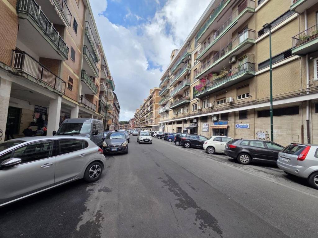 immagine annuncio 5 di 14