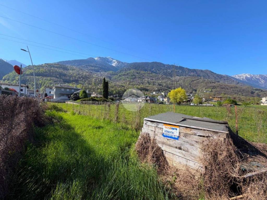 immagine annuncio 3 di 10
