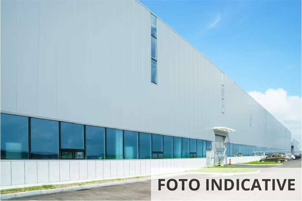 immagine annuncio 8 di 11