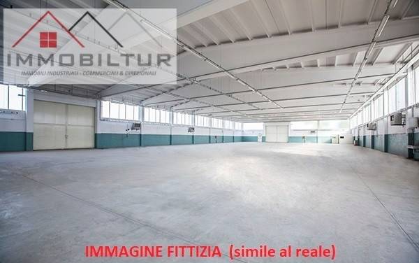 immagine annuncio 4 di 9