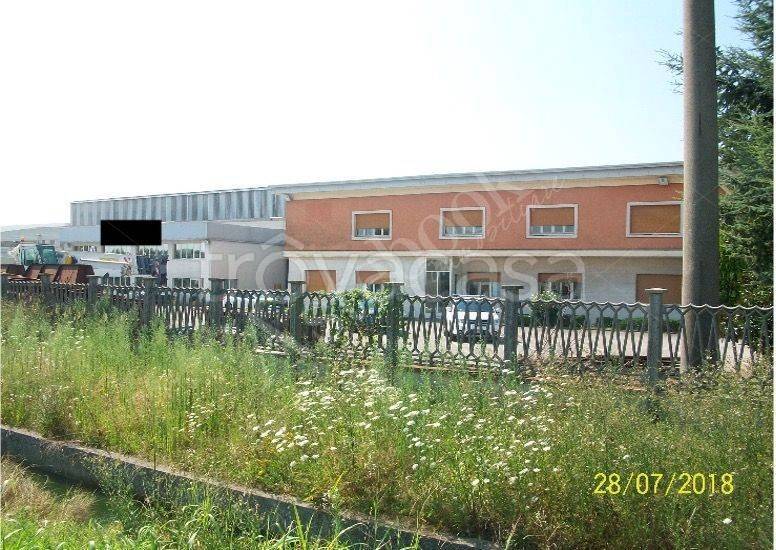 immagine annuncio 6 di 13