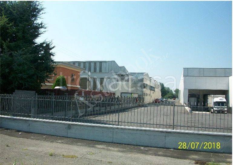 immagine annuncio 9 di 13