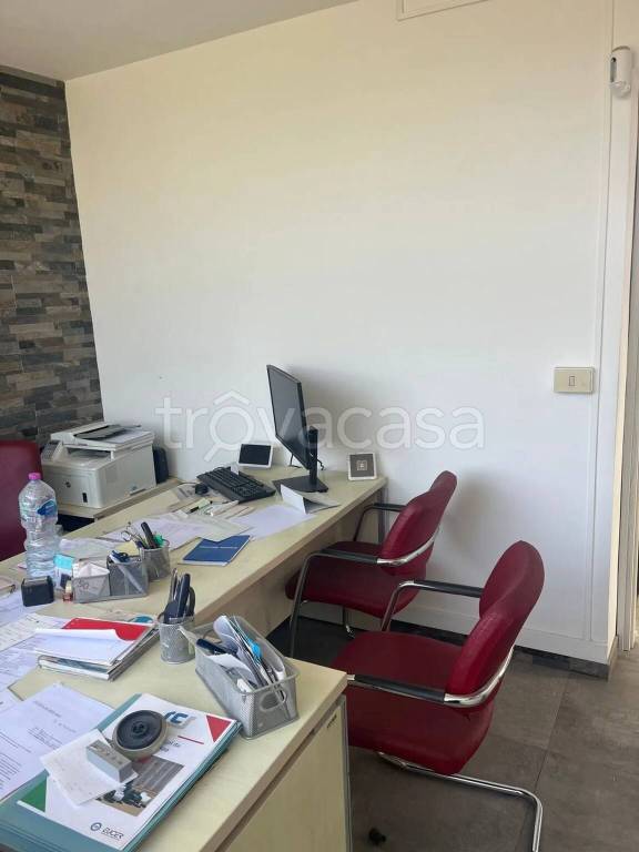 immagine annuncio 12 di 14