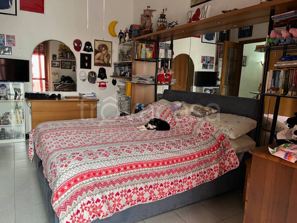 immagine annuncio 5 di 12