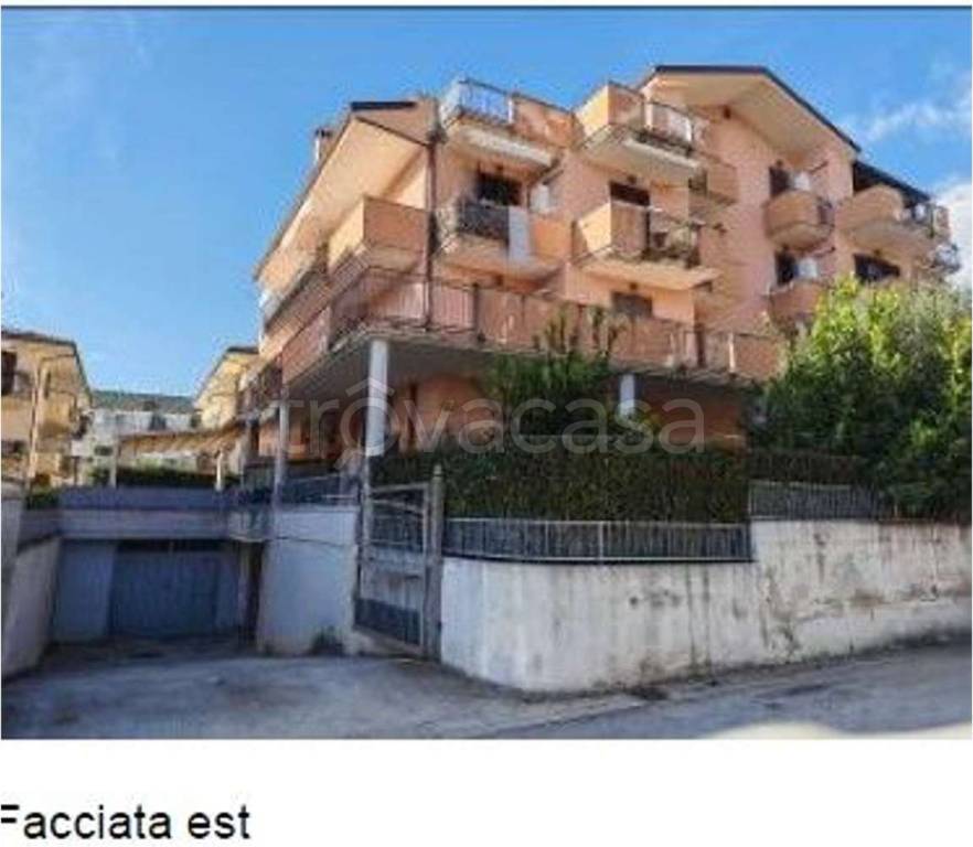 immagine annuncio 11 di 14