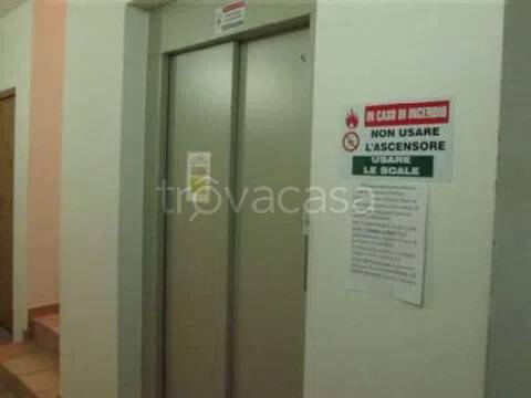 immagine annuncio 5 di 6