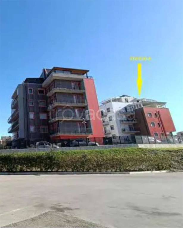 immagine annuncio 5 di 10