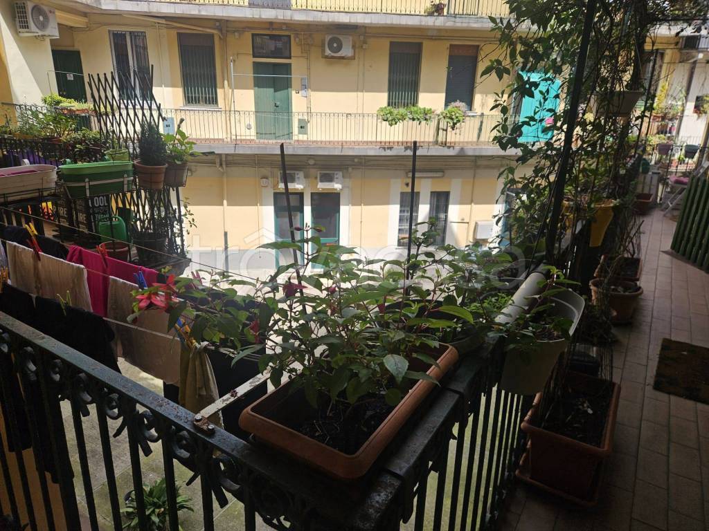 immagine annuncio 11 di 13