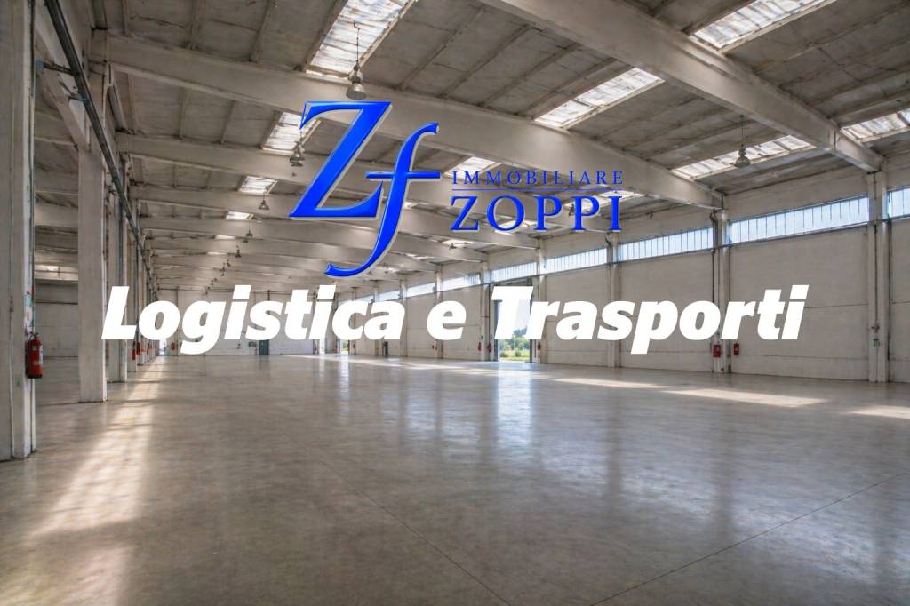 immagine annuncio 6 di 13