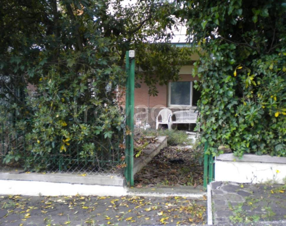 immagine annuncio 9 di 11