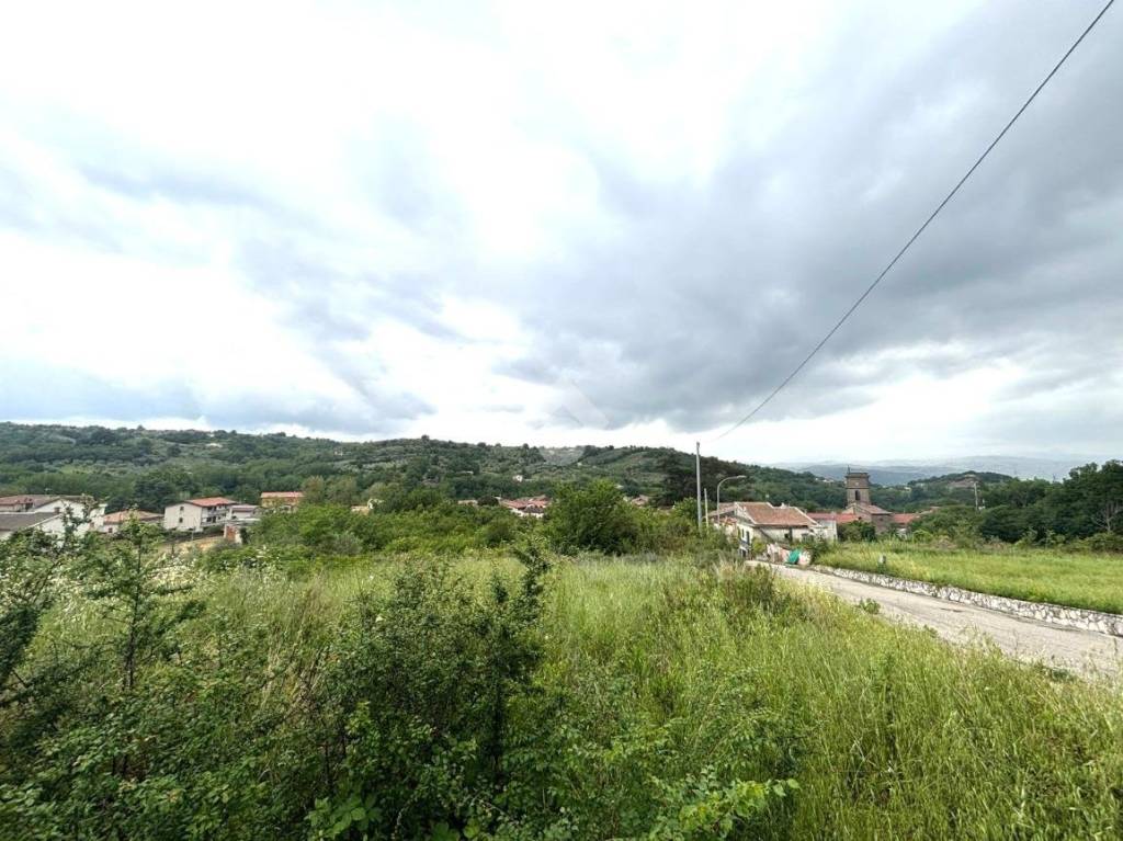 immagine annuncio 2 di 7