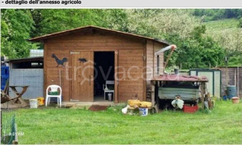 immagine annuncio 2 di 12
