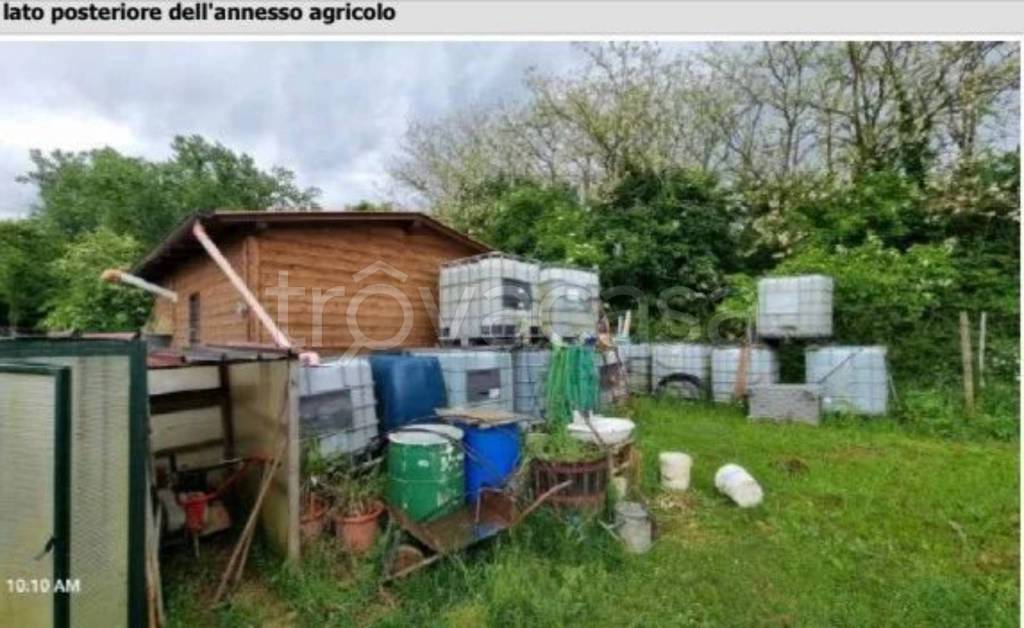 immagine annuncio 3 di 12