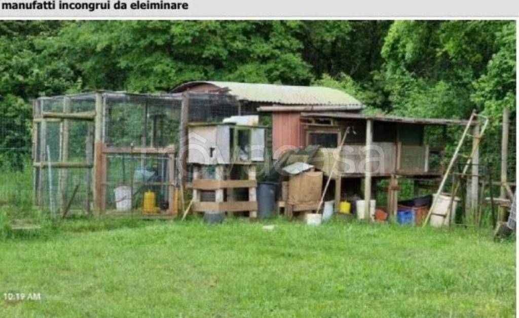 immagine annuncio 4 di 12