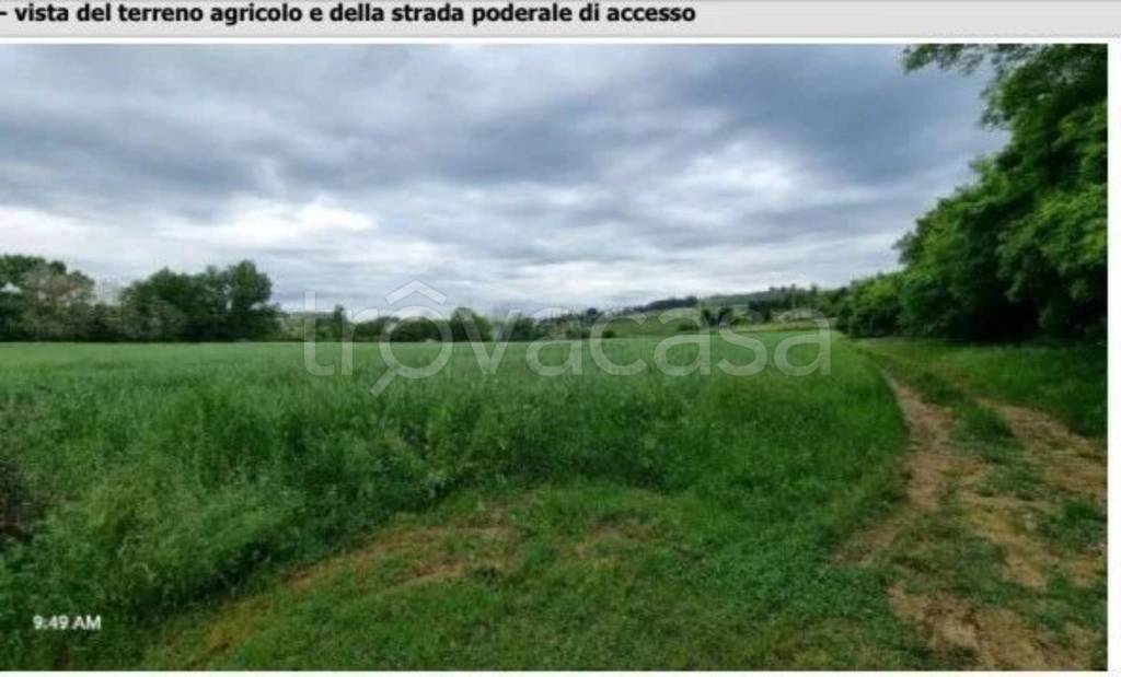immagine annuncio 5 di 12
